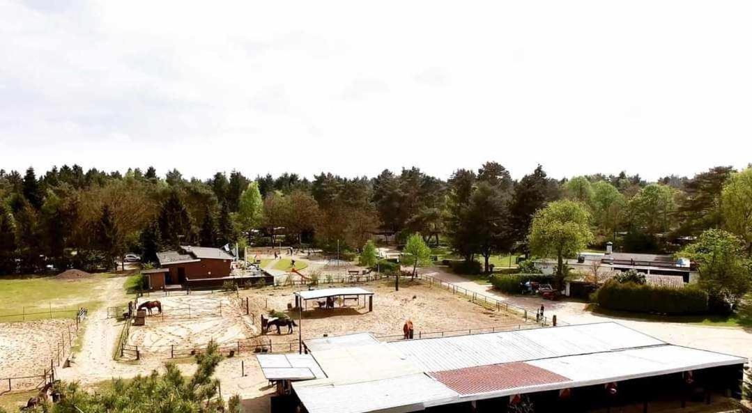 Prachtig Chalet In De Bossen Nunspeet Bagian luar foto
